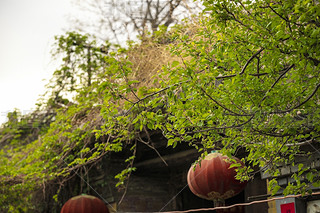 Ї(gu)ӱʡҿбﾰ^(q)x彨