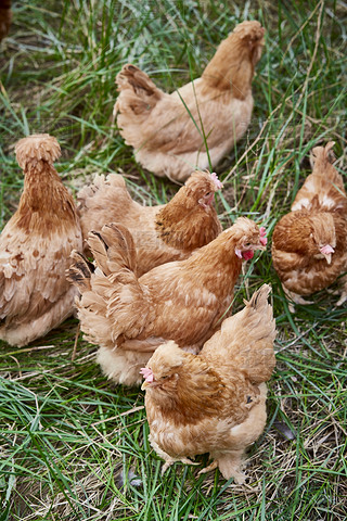 ɢB(yng)B(ti)ɢڲݵϵĽu