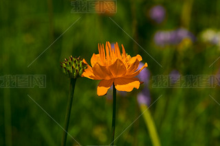 ЇӱʡҿڹԴhZ^(q)ؽɏ