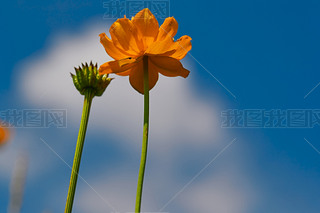 ЇӱʡҿڹԴhZ^(q)ؽɏ