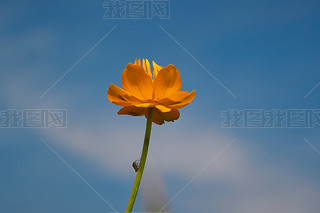 ЇӱʡҿڹԴhZ^ؽɏ