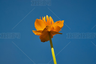 ЇӱʡҿڹԴhZ^(q)ؽɏ