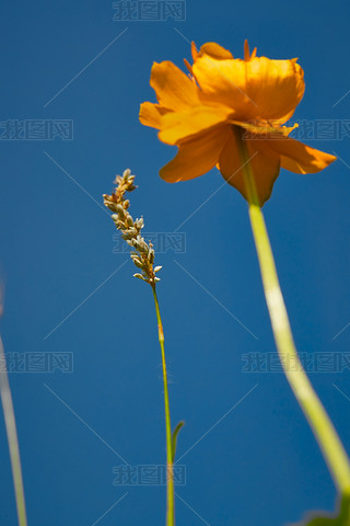 ЇӱʡҿڹԴhZ^(q)ؽɏ