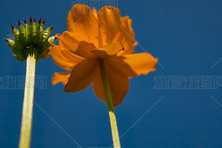 ЇӱʡҿڹԴhZ^(q)ؽɏ