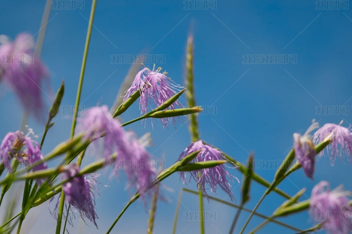 ๫
