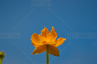 ЇӱʡҿڹԴhZ^(q)ؽɏ