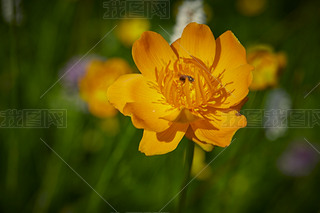 ЇӱʡҿڹԴhZ^(q)ؽɏ