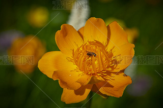 ЇӱʡҿڹԴhZ^(q)ؽɏ