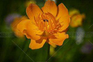 ЇӱʡҿڹԴhZ^(q)ؽɏ