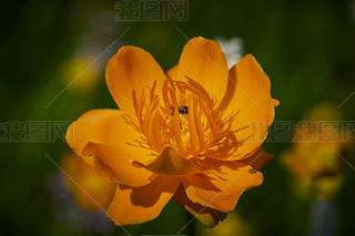 ЇӱʡҿڹԴhZ^(q)ؽɏ