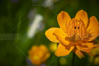 ЇӱʡҿڹԴhZ^(q)ؽɏ