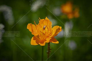 ЇӱʡҿڹԴhZ^(q)ؽɏ