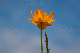 ЇӱʡҿڹԴhZ^ؽɏ