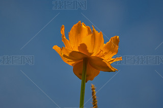 ЇӱʡҿڹԴhZ^ؽɏ