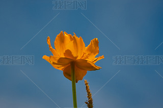 ЇӱʡҿڹԴhZ^(q)ؽɏ