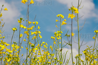 Ї(gu)ӱʡҿڹԴhZ^(q)Ͳ˻