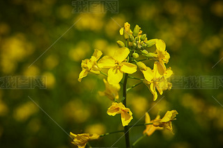 Ї(gu)ӱʡҿڹԴhZ^(q)Ͳ˻