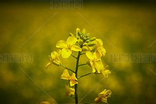 Ї(gu)ӱʡҿڹԴhZ^(q)Ͳ˻