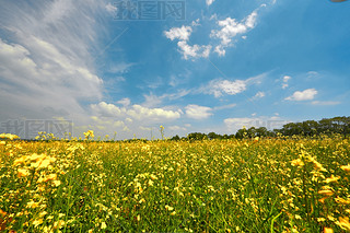 Ї(gu)ӱʡҿڹԴhZ^(q)Ͳ˻