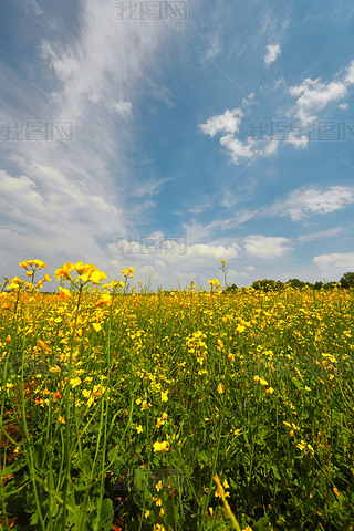 Ї(gu)ӱʡҿڹԴhZ^(q)Ͳ˻