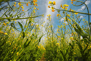 Ї(gu)ӱʡҿڹԴhZ^(q)Ͳ˻