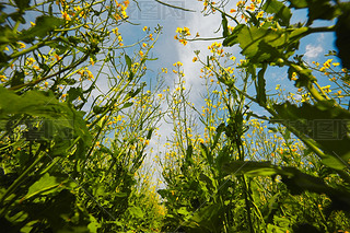 Ї(gu)ӱʡҿڹԴhZ^(q)Ͳ˻