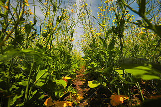 Ї(gu)ӱʡҿڹԴhZ^(q)Ͳ˻