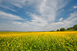 Ї(gu)ӱʡҿڹԴhZ^(q)Ͳ˻