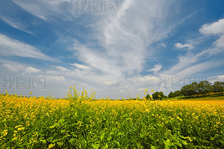 Ї(gu)ӱʡҿڹԴhZ^(q)Ͳ˻