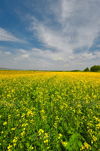 Ї(gu)ӱʡҿڹԴhZ^(q)Ͳ˻