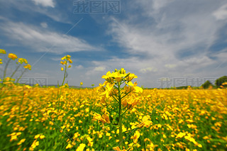 Ї(gu)ӱʡҿڹԴhZ^(q)Ͳ˻