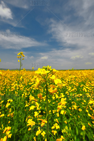 Ї(gu)ӱʡҿڹԴhZ^(q)Ͳ˻