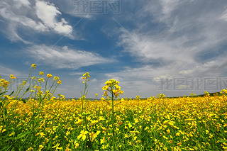 Ї(gu)ӱʡҿڹԴhZ^(q)Ͳ˻