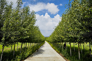 Їӱʡҿڵ؅^(q)ԴhZ^(q)