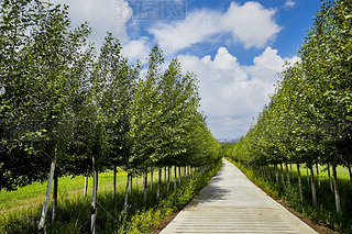 Їӱʡҿڵ؅^(q)ԴhZ^(q)