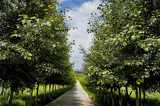 Їӱʡҿڵ؅^(q)ԴhZ^(q)