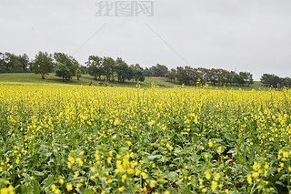 Ї(gu)ӱʡҿڹԴhZ^(q)Ͳ˻