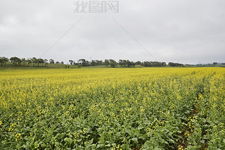 Ї(gu)ӱʡҿڹԴhZ^(q)Ͳ˻