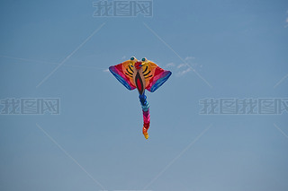 ϲԭL(fng)~(ji)wL(fng)~