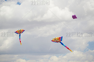 ϲԭL(fng)~(ji)wL(fng)~