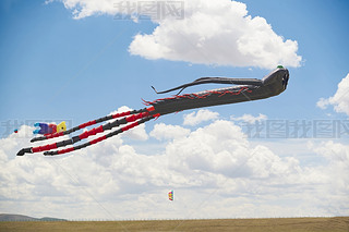 ϲԭL(fng)~(ji)wL(fng)~