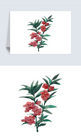 LLЇLΨˮīһѻز