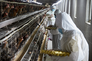 o(h)J(rn)ՓuŮB(yng)T