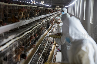 o(h)J(rn)ՓuŮB(yng)T