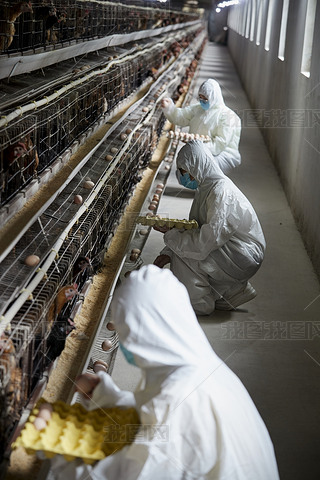 o(h)J(rn)ՓuŮB(yng)T