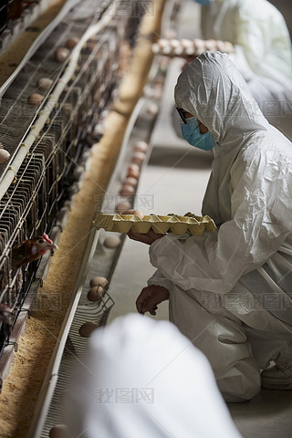 o(h)J(rn)ՓuŮB(yng)T