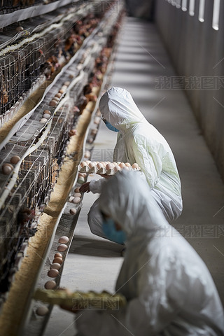 o(h)J(rn)ՓuŮB(yng)T