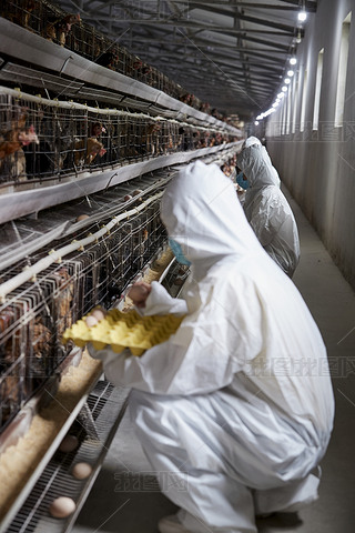 o(h)J(rn)ՓuŮB(yng)T