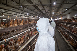 o(h)B(yng)uJ(rn)湤ŮB(yng)T