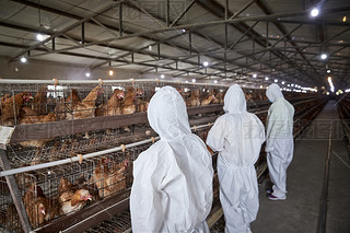 o(h)B(yng)uJ(rn)湤ŮB(yng)T